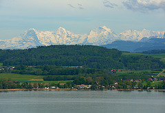 Le lac de Morat et les Alpes bernoises...