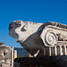 20120319 8158RAw [TR] Ephesos, Kuhköpfe, Obere Agora