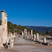 20120319 8154RAw [TR] Ephesos, Obere Agora