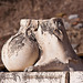 20120319 8127RAw [TR] Ephesos, Trajahn-Brunnen