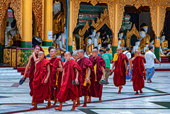 Group of monks at Shwedagon