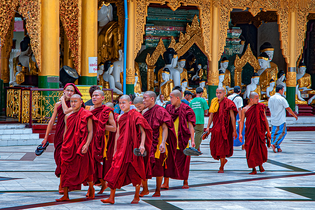 Group of monks at Shwedagon