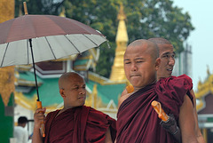Monk faces