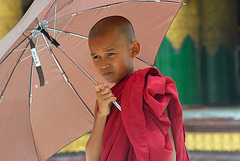 Young novice getting monkshood