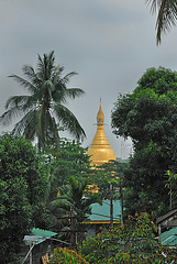 Maha Wizaya Pagoda in Yangon