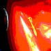 Présence sympatique sur le réservoir d'essence de la moto / A temporary friend on the motorcycle gas tank - 8 juillet 2010 / Postérisation