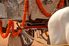 Wedding carriage