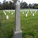 Los Angeles National Cemetery (1026)