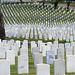 Los Angeles National Cemetery (5085)