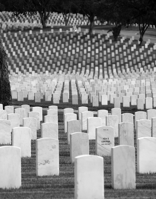 Los Angeles National Cemetery (5085A)