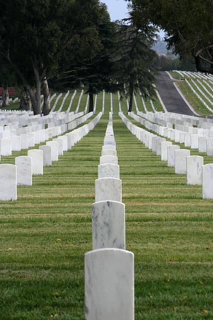 Los Angeles National Cemetery (5086)