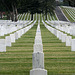Los Angeles National Cemetery (5086)
