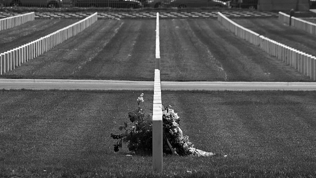 Los Angeles National Cemetery (5091A)