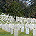 Los Angeles National Cemetery (5097)