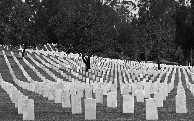 Los Angeles National Cemetery (5097A)
