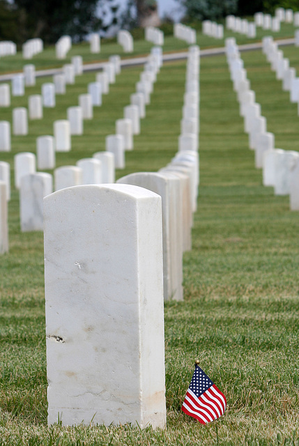 Los Angeles National Cemetery (5099)