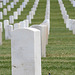 Los Angeles National Cemetery (5099)