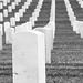 Los Angeles National Cemetery (5099A)