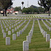 Los Angeles National Cemetery (5100)