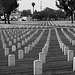 Los Angeles National Cemetery (5100A)