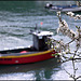 Blossoms and boats