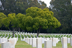 Los Angeles National Cemetery (5105)