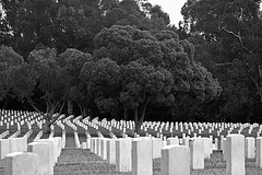 Los Angeles National Cemetery (5105A)