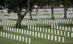 Los Angeles National Cemetery (5111)