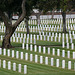 Los Angeles National Cemetery (5111)