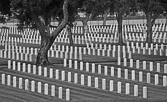 Los Angeles National Cemetery (5111A)