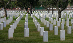Los Angeles National Cemetery (5112)