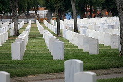 Los Angeles National Cemetery (5114)