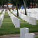 Los Angeles National Cemetery (5114)
