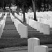 Los Angeles National Cemetery (5114A)