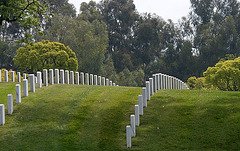 Los Angeles National Cemetery (5117)