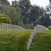 Los Angeles National Cemetery (5117)