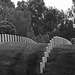Los Angeles National Cemetery (5117A)