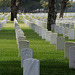 Los Angeles National Cemetery (5118)