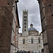 zum Dom von Siena