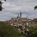 Blick auf Siena, Torre del Mangia  und Dom