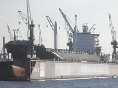 Containerschiff "CARLOTTA STAR" im Dock