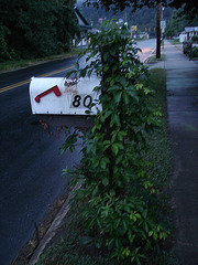 Mailbox 80 / Boîte à courrier numéro 80