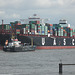 Containerschiff   AL  RIFFA