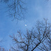 Luno en blua nuba ĉielo