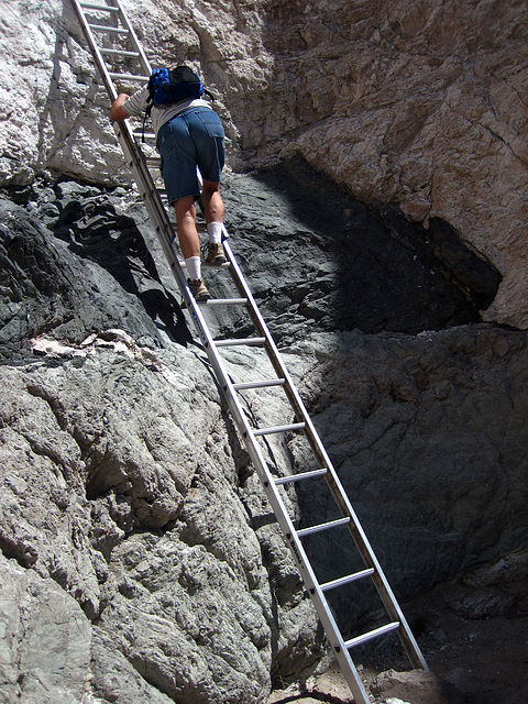 Descending The First Ladder (2090)