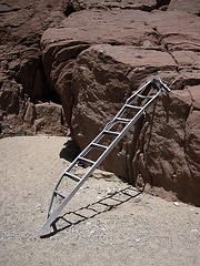 Ladder Remnant (2100)