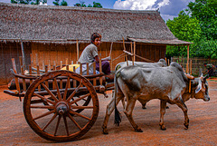 Archaic wagon at Inn Dein