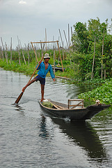 Leg-rowing Intha man in Nge Hpe Chaung