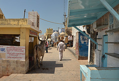 Pilgrim at Dwarka
