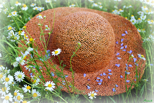 THE RURAL HAT***